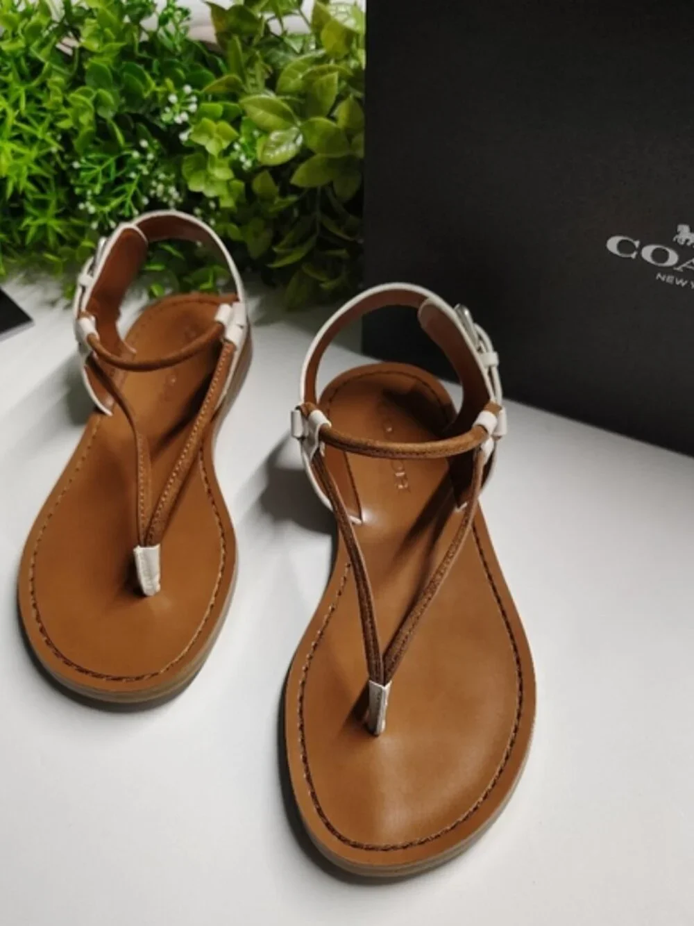 Coach Clarkson Thong Sandals Chalk Saddle Leather Ankle Strap Size 5M NWT